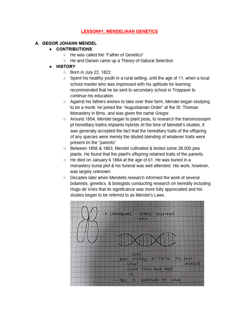 Mendelian Genetics Overview and Concepts | PDF | Genotype | Dominance ...