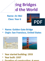 Amazing Bridges Around The World (Jin Wei)