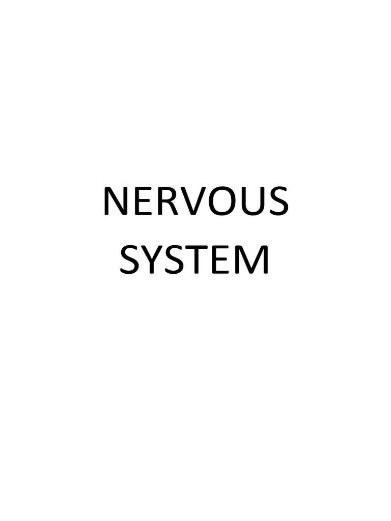 Nervous System Physiology Download Free Pdf Chemical Synapse