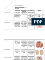 Guia de Laboratorio Sistema Reproductor Femenino