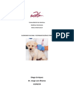 Vacunas Perros 1