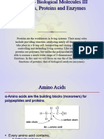 Unit 10 Peptides Proteins EnzymesClick