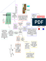 Sintesis de Purinas. Pirimidinas