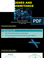 Genes and Inheritance