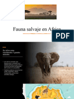 África Africa