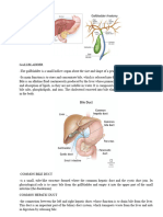 GALLBLADDER Anatomy