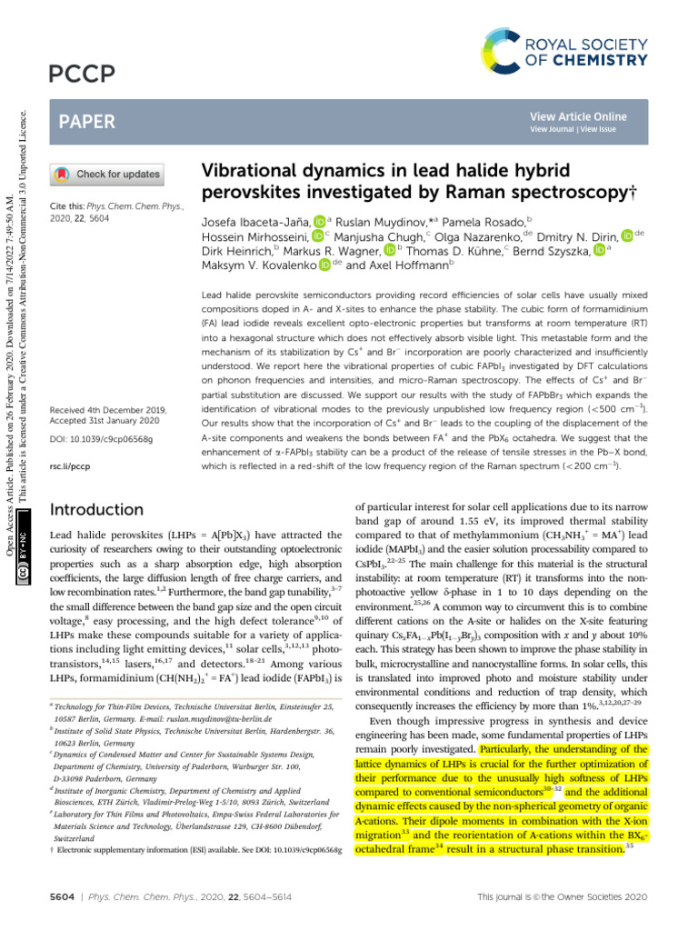 Vibrational Dynamics in Lead Halide Hybrid Perovskites Investigated by ...