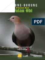Burung-Burung Di P. Obi