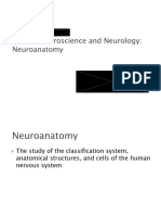 L1b Neuroanatomy