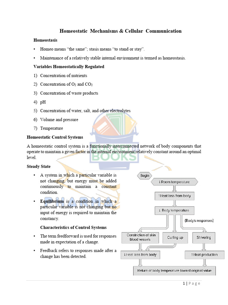 Physiology (Unit 2) | PDF