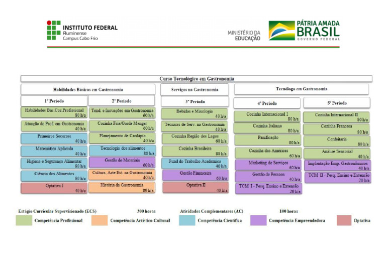 Matriz Curricular | PDF