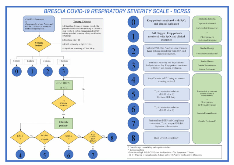 BRSS A4 | PDF