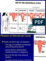 Red Days The Cycle of Womens Monthly Period