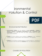Environmental Science - Pollutants and Water Pollution