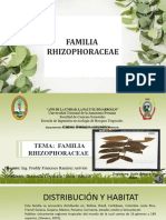 Familia Rizophoraceae