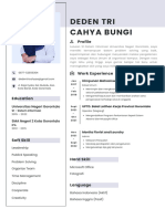 Simple Professional CV Resume