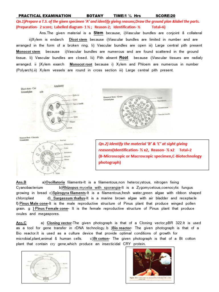 Note Practical | PDF | Branches Of Botany | Botany