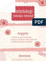 Embriologi Kelenjar Adrenal Kelompok 5