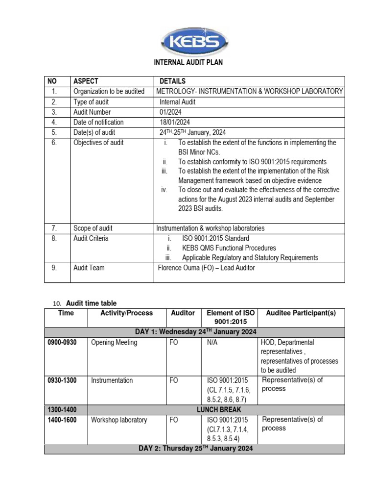 Instrumentation Audit Plan PDF