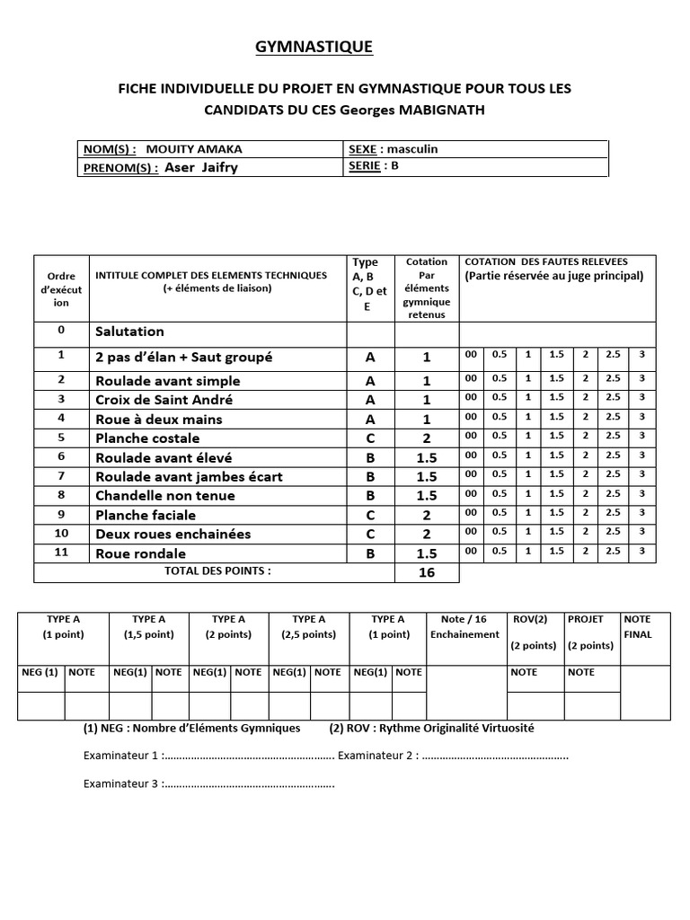 fiche-projet-individuel-en-gymnastique-pdf