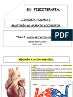 B1. Tema 5. Vascularización Corporal