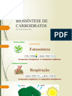 Biossintese de Carboidratos