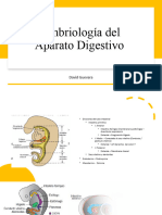 Copia de Embriología Del Aparato Digestivo