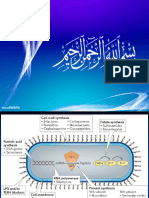 Protein Synthesis Inhibitors