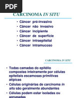 CA in Situ e Microinv