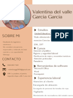 Curriculum Vitae CV Trabajo - 20240123 - 192040 - 0000