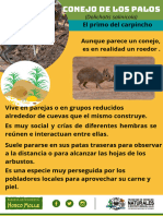 Conejo de Los Palos PDF