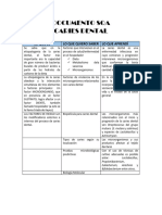 DOCUMENTO SQA Caries Dental