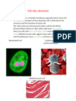 The Cell Nucleus