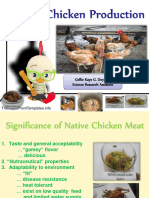 Native Chicken Production