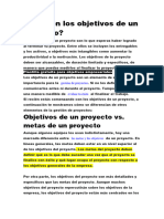 Metas y Objetivos Del Proyecto