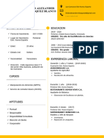 85 Curriculum Vitae Espanol