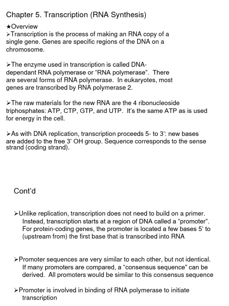 Mb Chapter 5 Transcription Pdf Sense Molecular Biology Promoter
