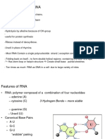 Chapter 3.3. MB RNA Structure