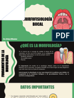 Morfofiología Bucal