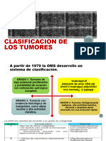 Clasificacion de Los Tumores