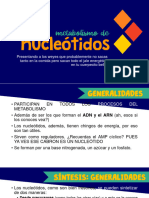Metabolismo Nucleotidos
