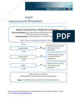 Anthrax Flowchart PDF 508 Branded