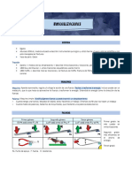 Inmovilizaciones