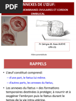 Le Partogramme | PDF | Accouchement | Sciences de la santé