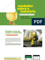 SVB Verdades Sobre Industria eBook