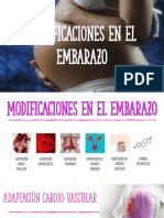 Modificaciones en El Embarazo