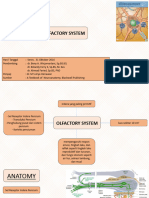 Olfactory System ARYA