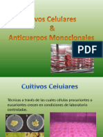 Cultivoscelularesanticuerposmonoclonares 130803210924 Phpapp02