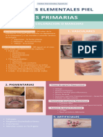 Lesiones Elementales Piel