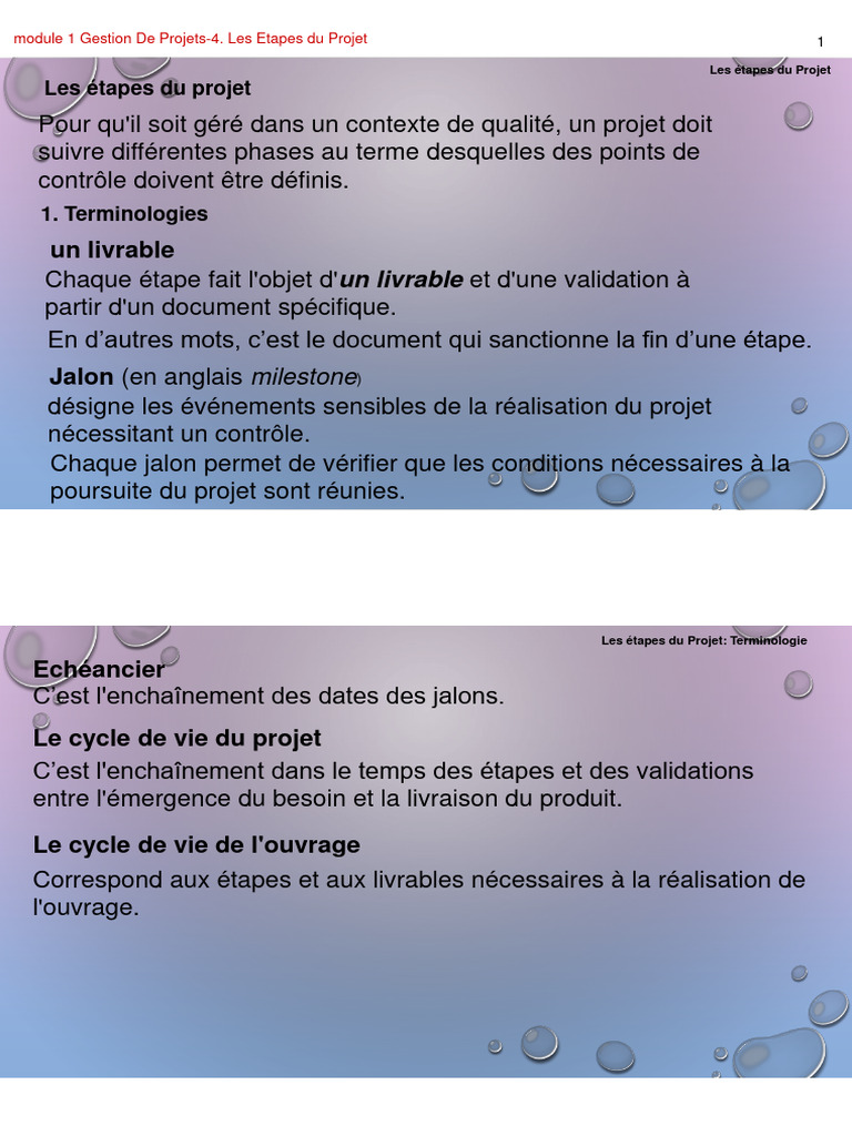 Phases et livrables d'un projet | PDF